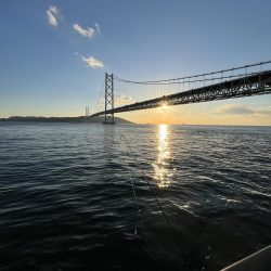 サビキも終わりかけ②