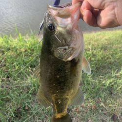 秋を感じながらのバス釣り