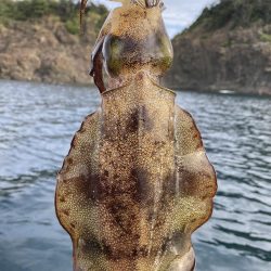 今年は少ないねん