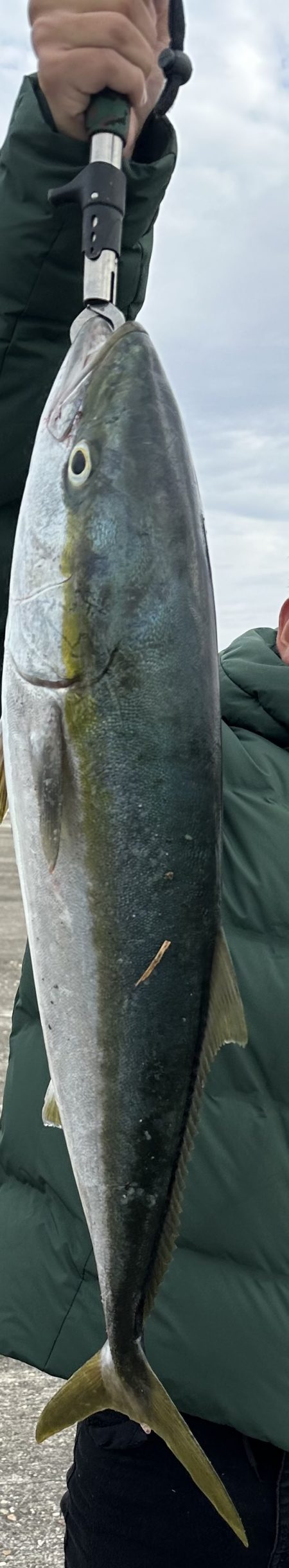 今年初青物NICE!!