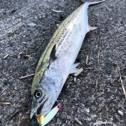 粘って良かった