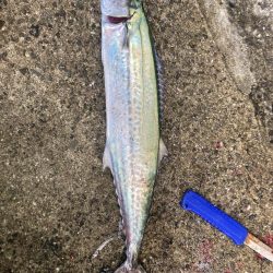 2023ライトゲーム第39戦