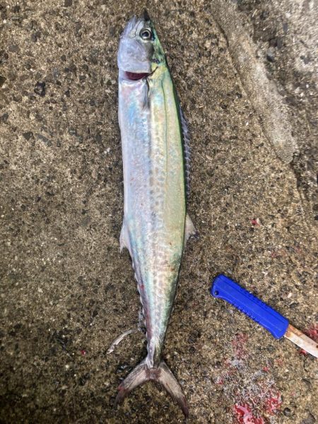 2023ライトゲーム第39戦