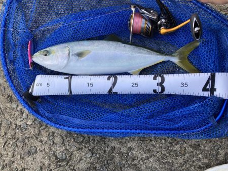 ライトショアジギング