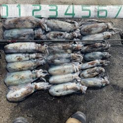 2023 佐渡ヶ島エギング 21回目【10月1日】