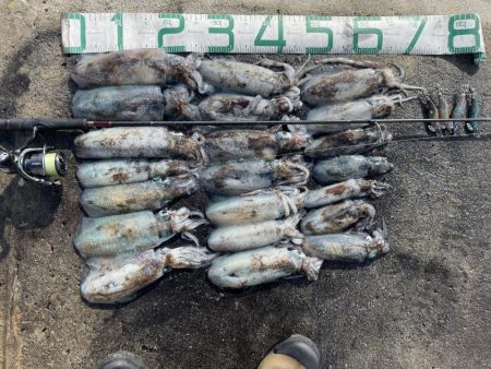 2023 佐渡ヶ島エギング 21回目【10月1日】