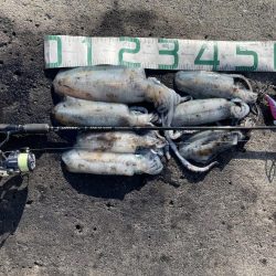 2023 佐渡ヶ島エギング 30回目【10月14日】