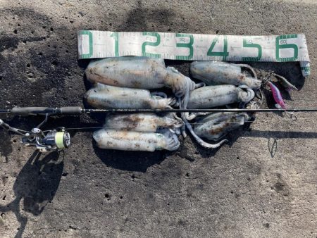 2023 佐渡ヶ島エギング 30回目【10月14日】