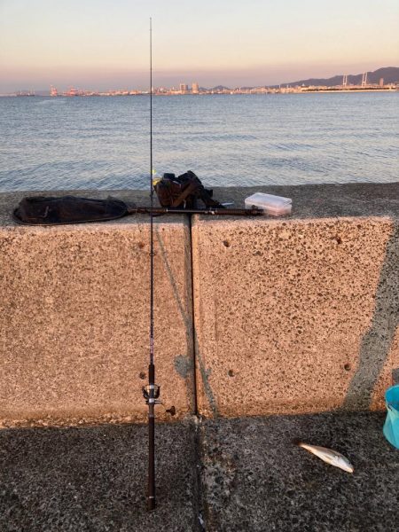 サゴシ狙いで行くものの…