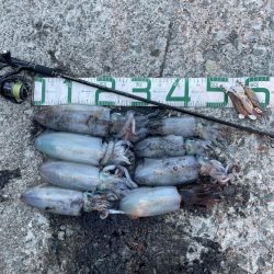 2023 佐渡ヶ島エギング 38回目【10月24日】