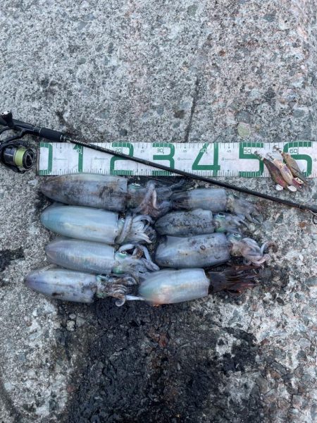 2023 佐渡ヶ島エギング 38回目【10…