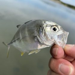 メッキが消えた…