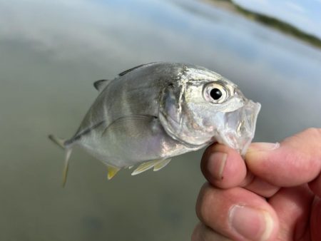 メッキが消えた…