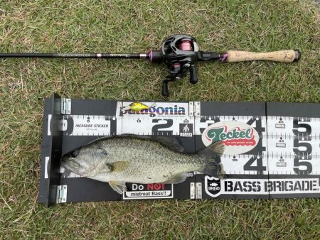 寒い朝のクランキング