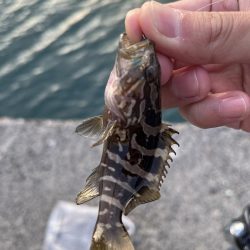 遠征ライトゲーム！