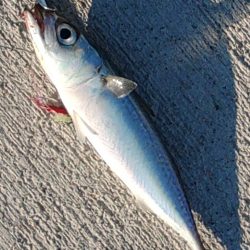 なんだかなぁ～。