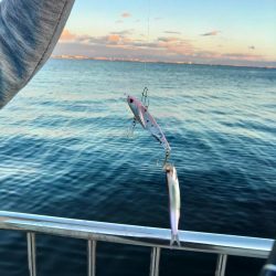 もう、終了ですか？