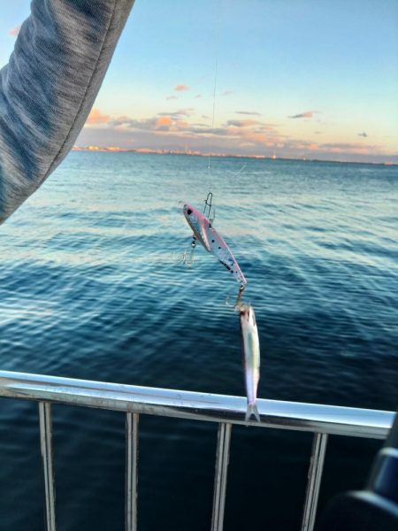 もう、終了ですか？