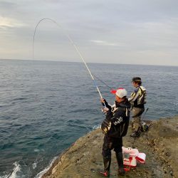 和歌山市江(吉丸渡船)でグレ釣り