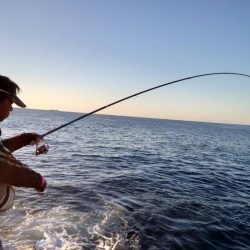 和歌山県串本出雲(谷口渡船)でグレ釣り