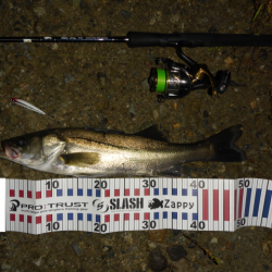 静けさの中での、まさかのHit！