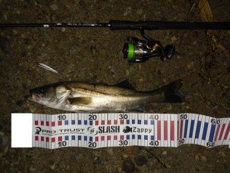 静けさの中での、まさかのHit！