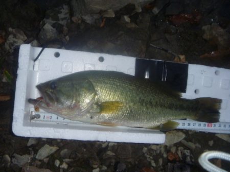 10月バス　その２