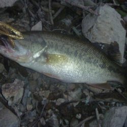 減水続き　その３