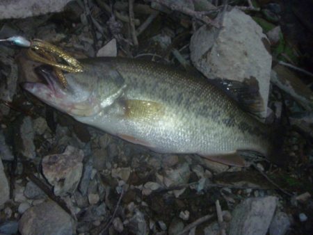 減水続き　その３