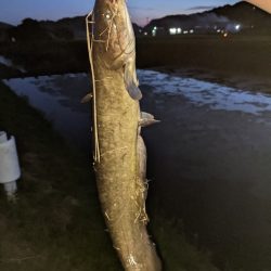 バスつれたのに…