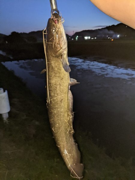 バスつれたのに…