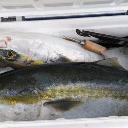 久しぶり淡路島