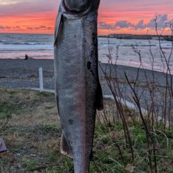人生初サケ!!ブッコミで掛かる!?
