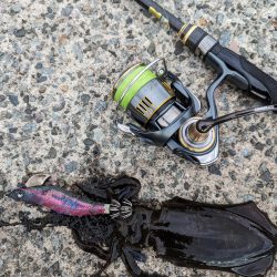 エギング、アジング、ハタゲーム