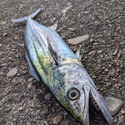 ブロックの境い目(笑)