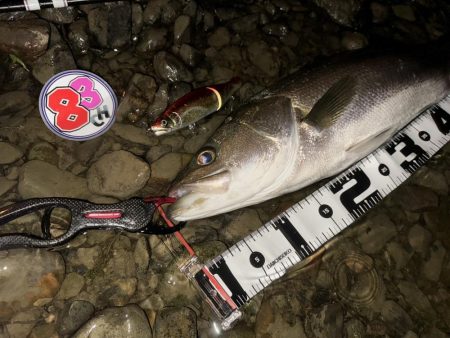 落ち鮎リバーシーバス
