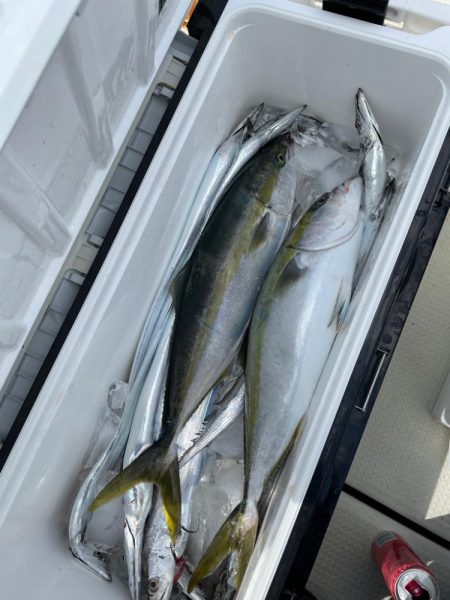 明石のジギング