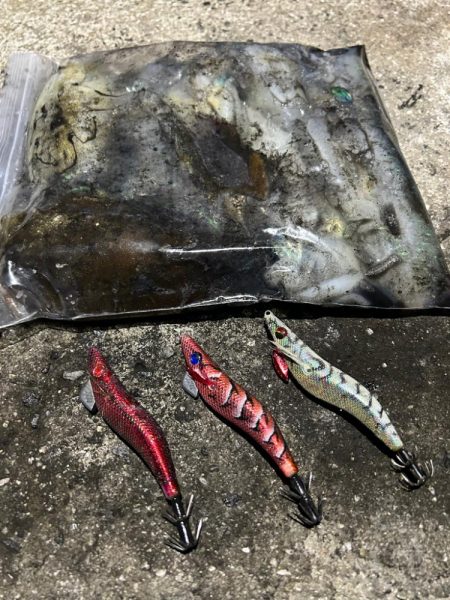 仕事終わりエギング！