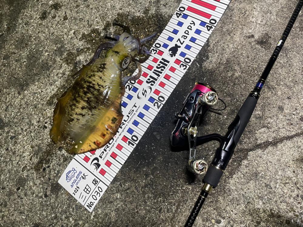 夜練ーエギング