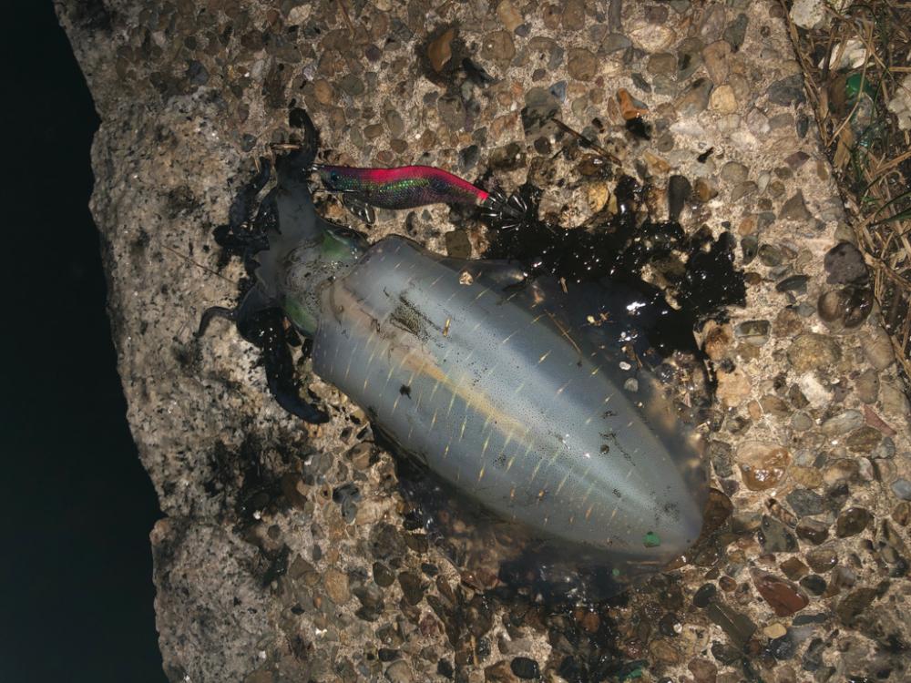 ラスト一投で