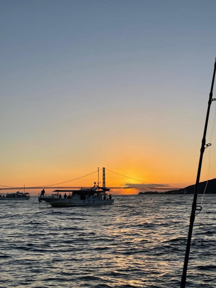 ビックベイトノマセ