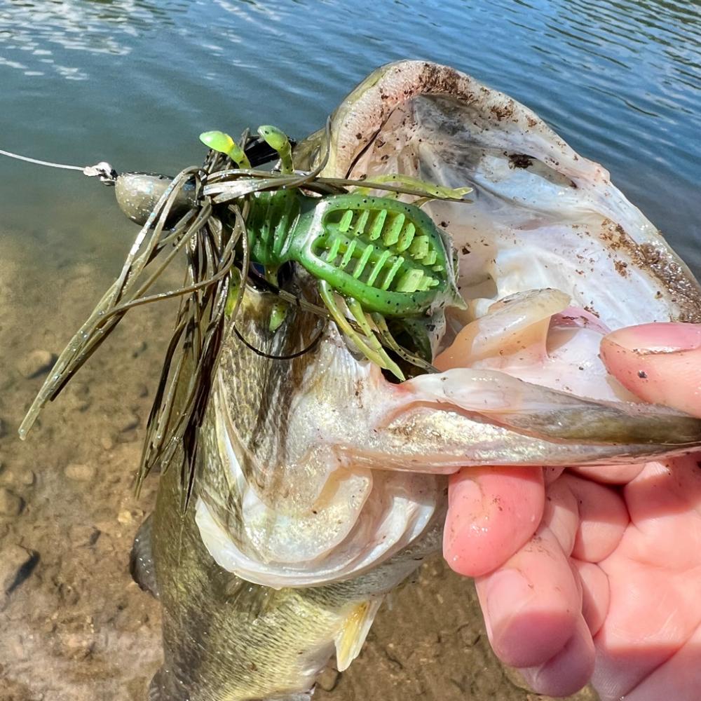 サイトでの一本‼︎