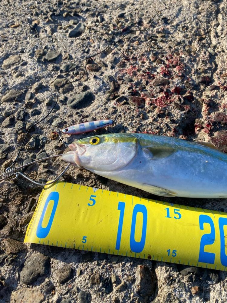 フックのメンテは必要！？