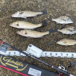 雨が降ったり止んだりの天気