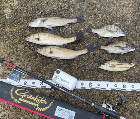 雨が降ったり止んだりの天気