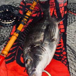 ヘチってきました