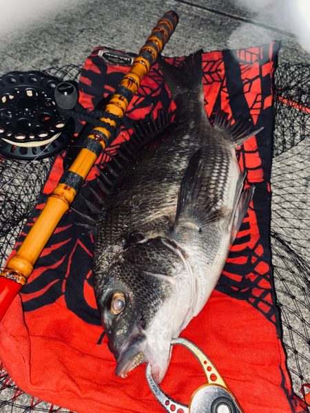 ヘチってきました