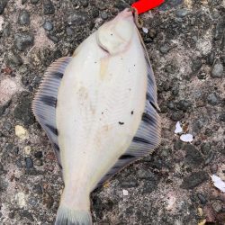 そう甘くはなかった