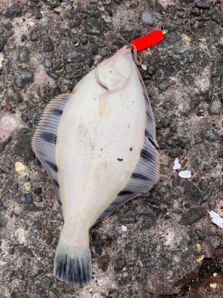 そう甘くはなかった