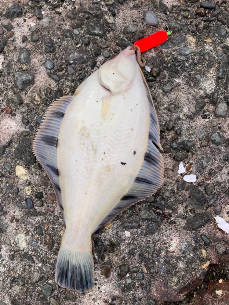 そう甘くはなかった